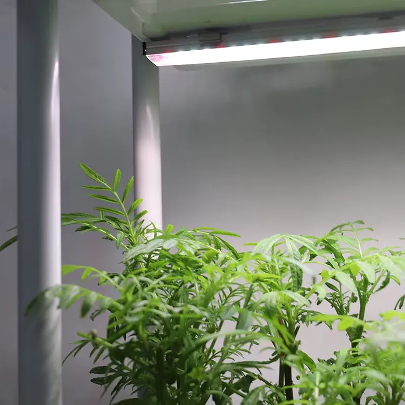 กล่องปลูกต้นไม้แบบเคลื่อนย้ายไ - Smart Garden Box บทวิจารณ์และราคา