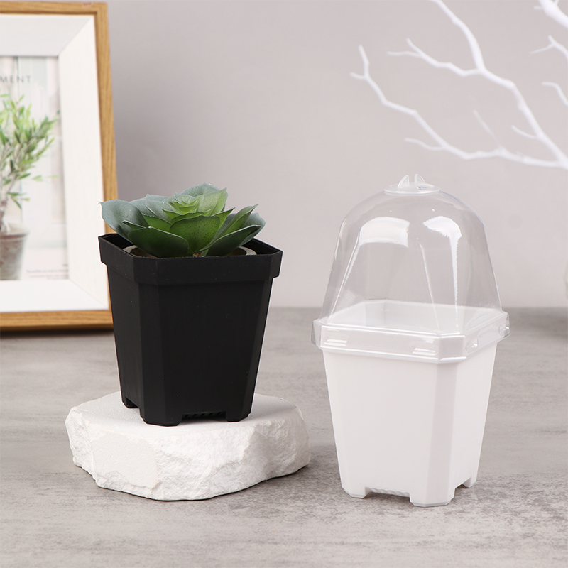 กระถางดอกไม้สี่เหลี่ยมขนาดเล็ก - Smart Garden Domes บทวิจารณ์และราคา