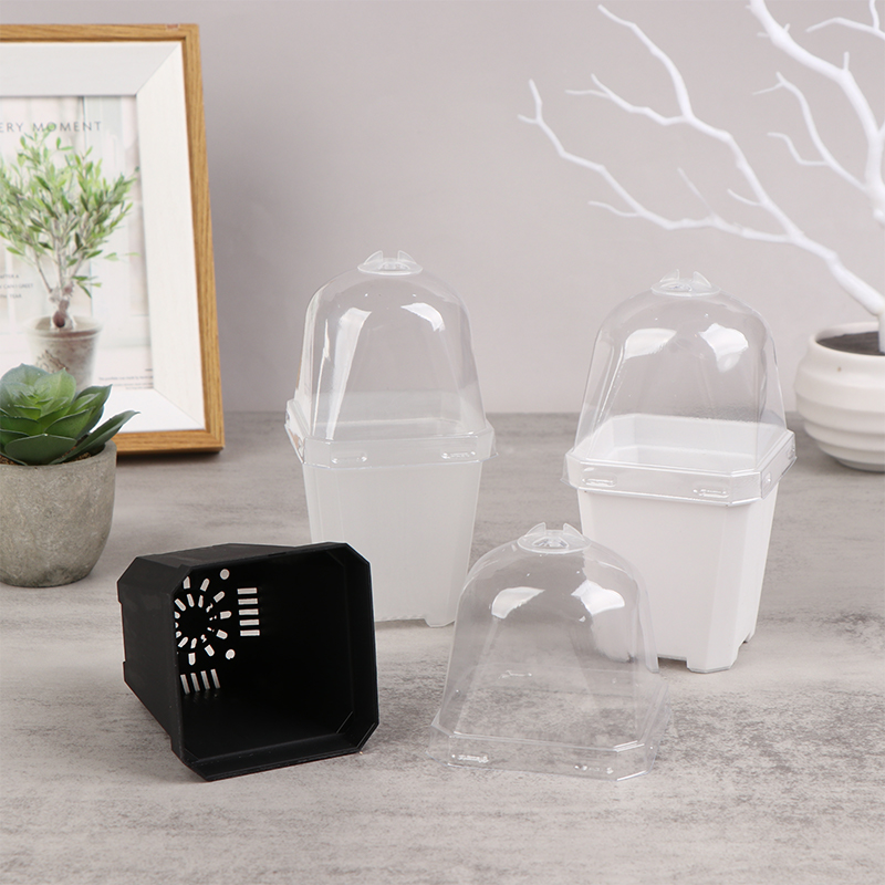 กระถางดอกไม้สี่เหลี่ยมขนาดเล็ก - Smart Garden Domes บทวิจารณ์และราคา