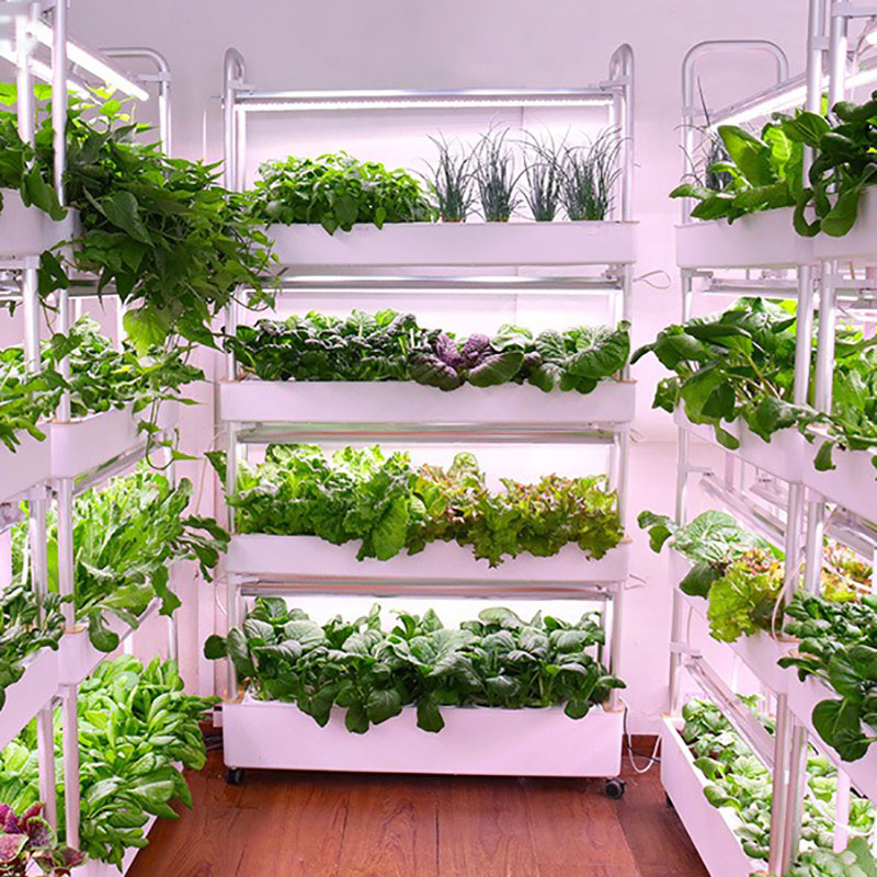 ระบบปลูกไฮโดรโปนิกส์แนวตั้งสมา - Smart Garden Box บทวิจารณ์และราคา