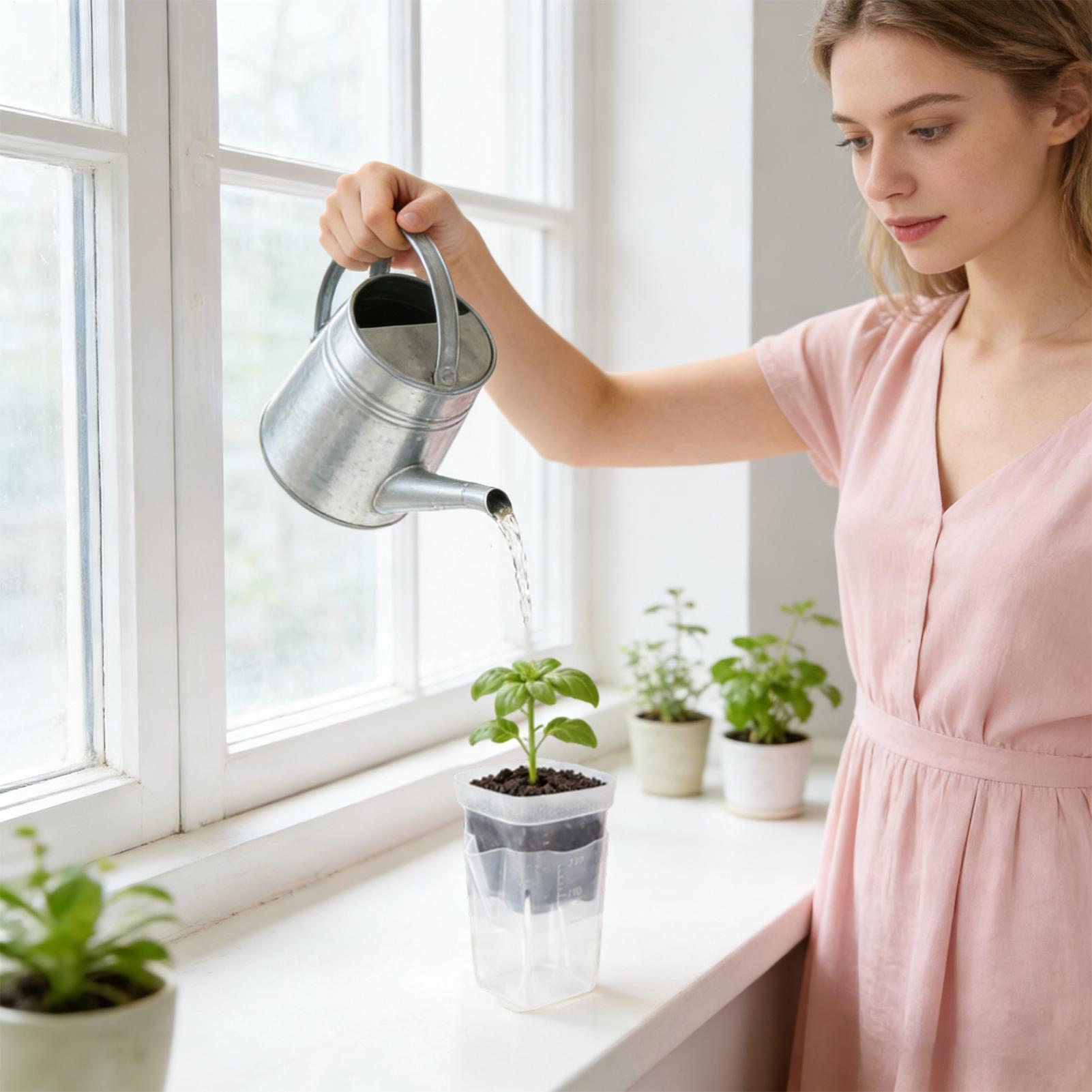 กระถางต้นไม้แบบรดน้ำเองได้ 12  - Smart Garden Domes บทวิจารณ์และราคา