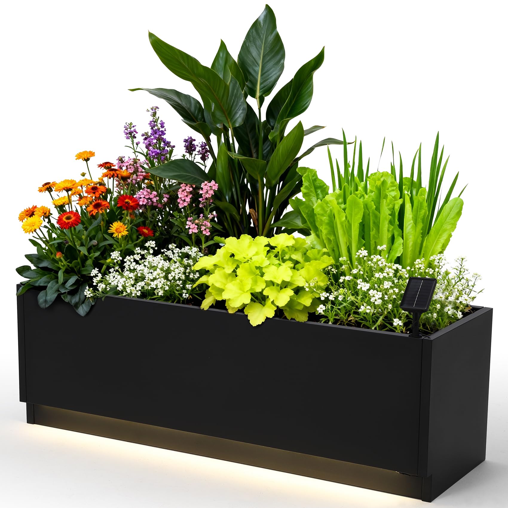 กระถางปลูกต้นไม้โลหะ LED ขนาด  - Smart Garden Box บทวิจารณ์และราคา