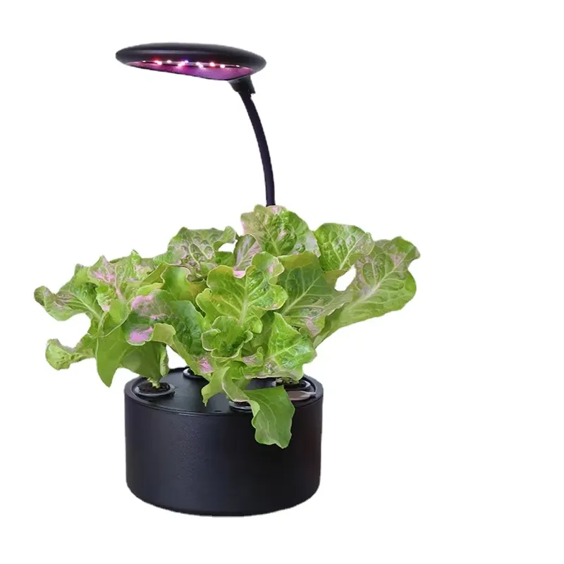 สำหรับระบบปลูกพืชไฮโดรโพนิกแบบ - Smart Garden Box บทวิจารณ์และราคา