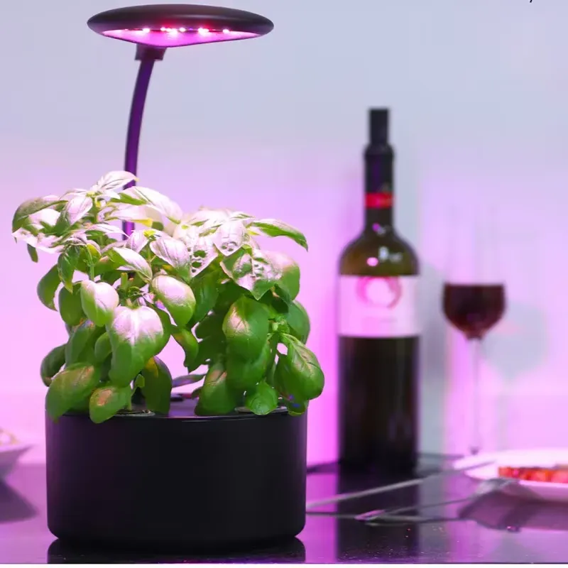 สำหรับระบบปลูกพืชไฮโดรโพนิกแบบ - Smart Garden Box บทวิจารณ์และราคา